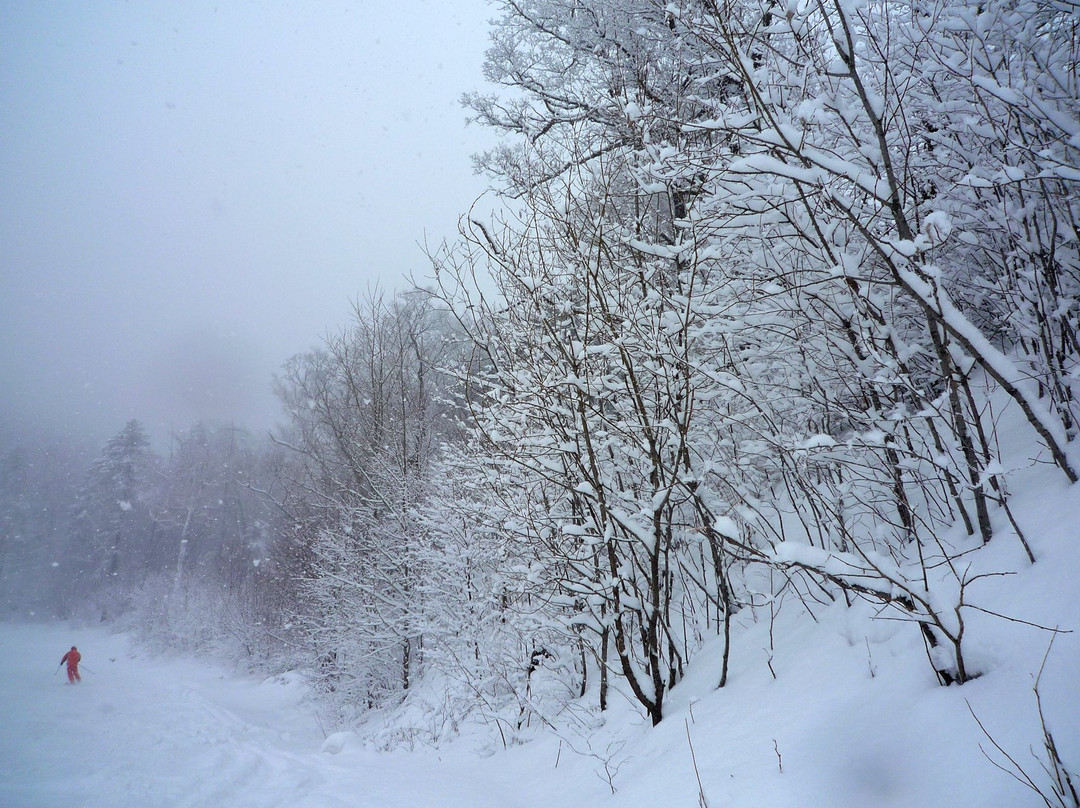 亚布力国际滑雪中心-尚志市必去景点