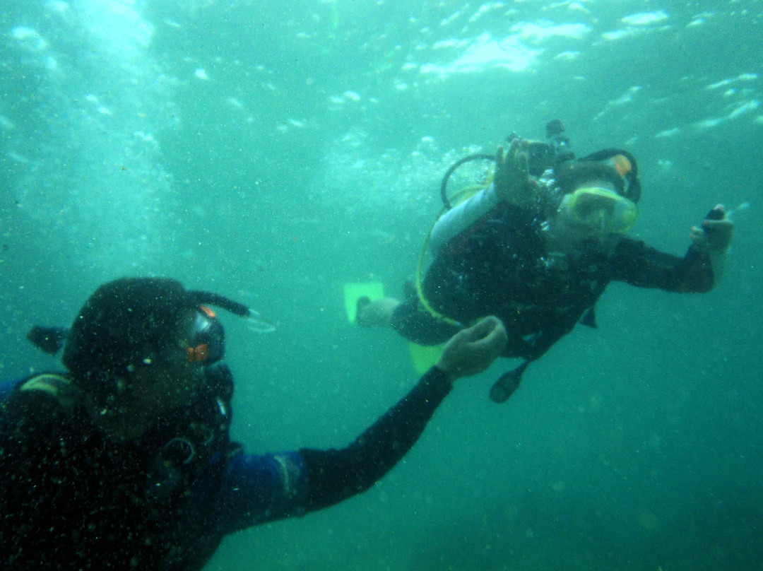 International Diving School景点图片