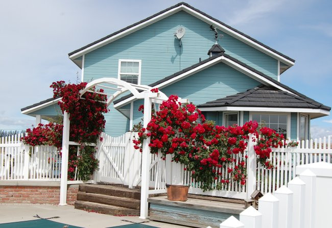 Cherry Wood Bed Breakfast and Barn主图