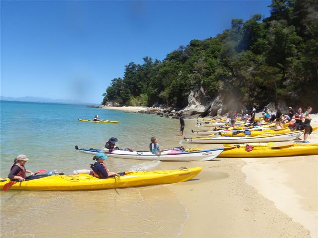 Tonga Island Marine Reserve-Abel Tasman National Park必去景点