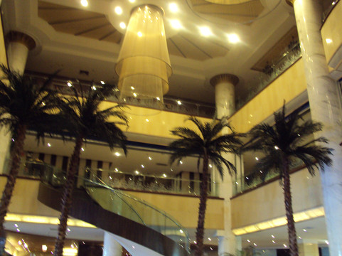 荷泰温泉酒店主图