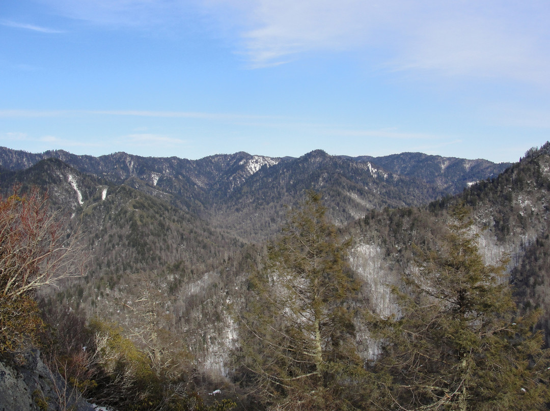 Chimney Tops Trail景点图片