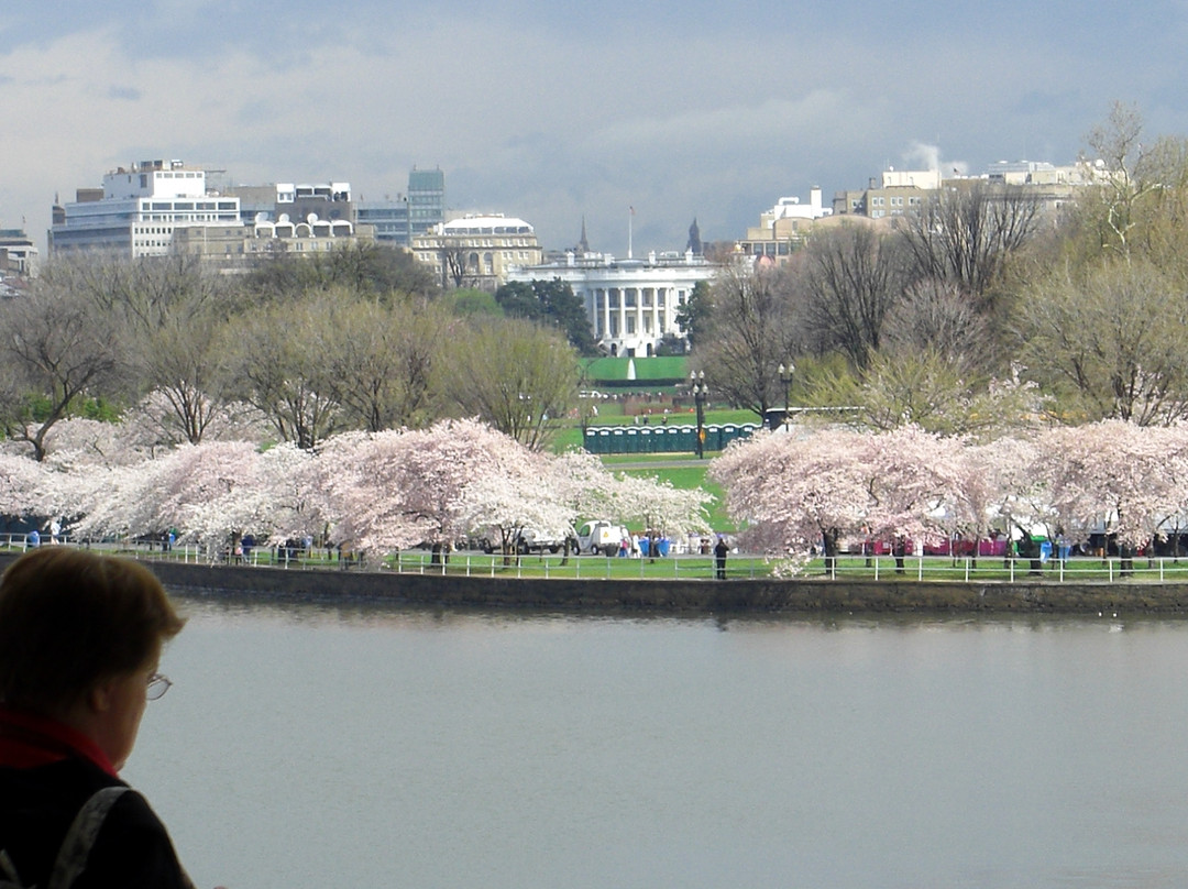 有防潮闸的港池-华盛顿特区必去景点
