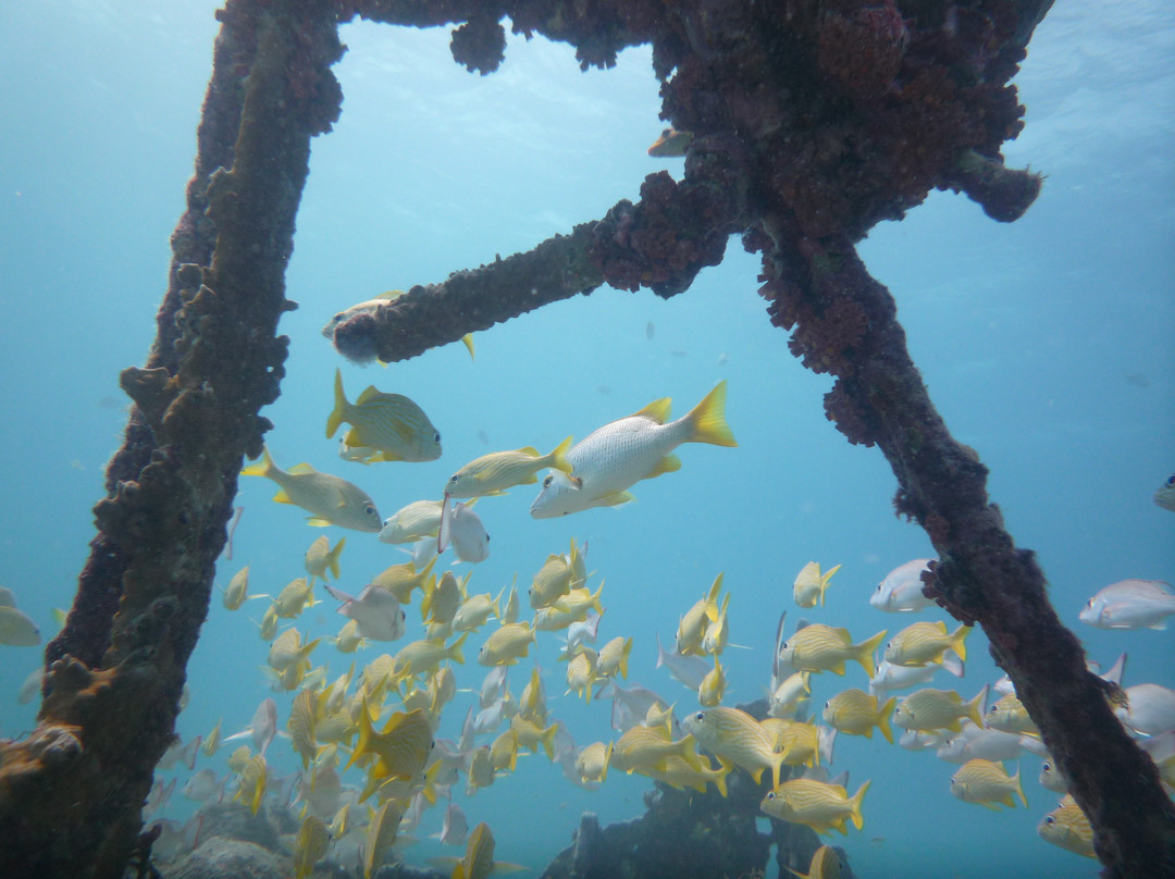 Red Sail Sports Aruba-奥腊涅斯塔德必去景点