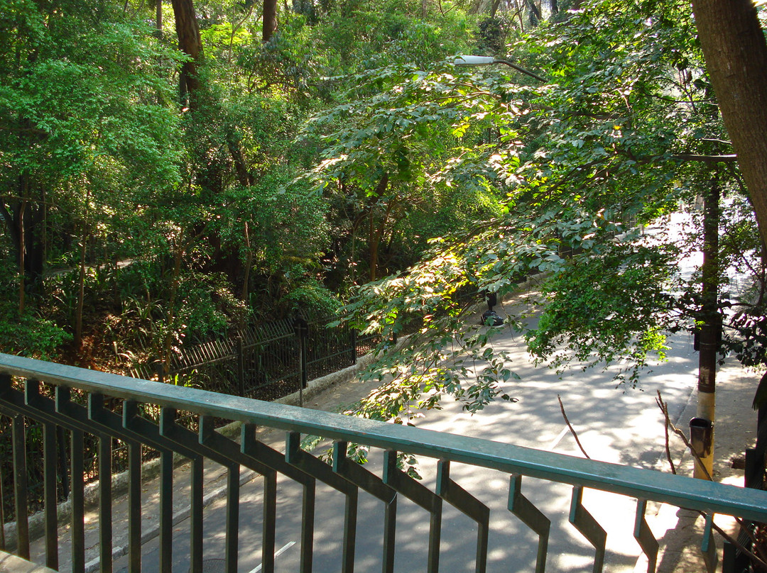 Tenente Siqueira Campos Park (Trianon)-圣保罗必去景点