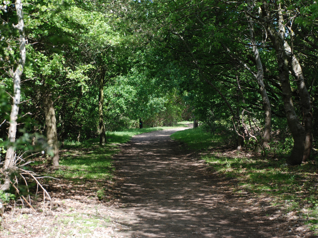 Wellington Country Park-雷丁必去景点