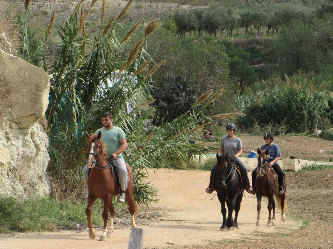 Victor's Horse & Carriage-Xaghra必去景点