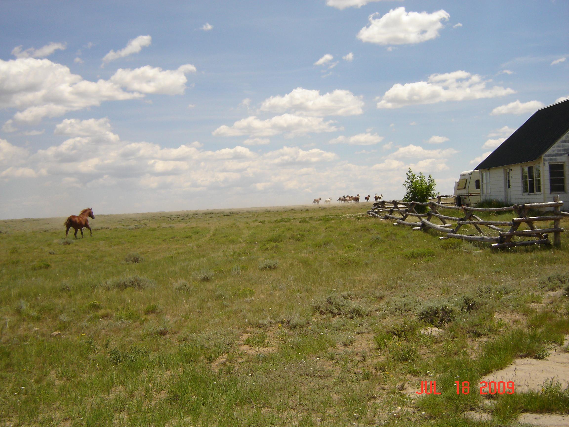 Two Creek Ranch-客卧