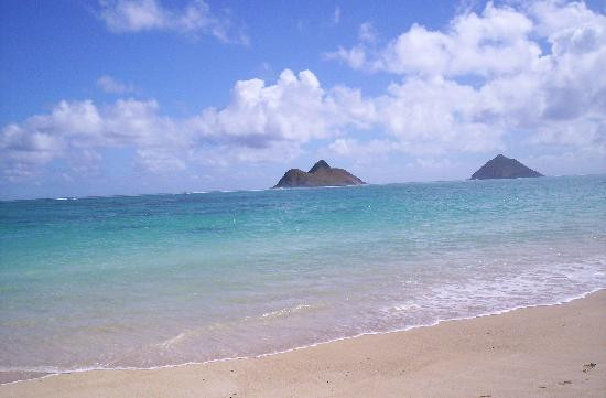 拉尼凯海滩-科纳必去景点