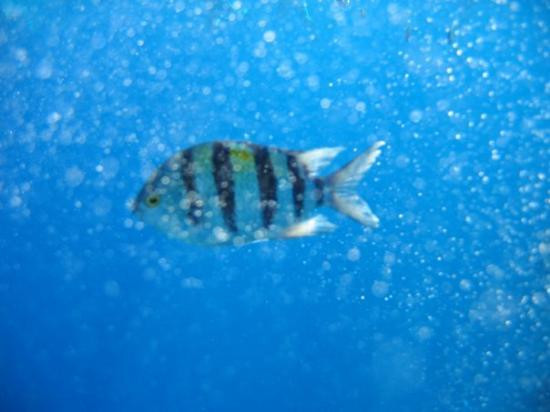 Ras Um Sid-沙姆沙伊赫必去景点