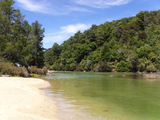 null-Abel Tasman National Park