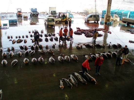 Kesennuma Fish Market-气仙沼市必去景点