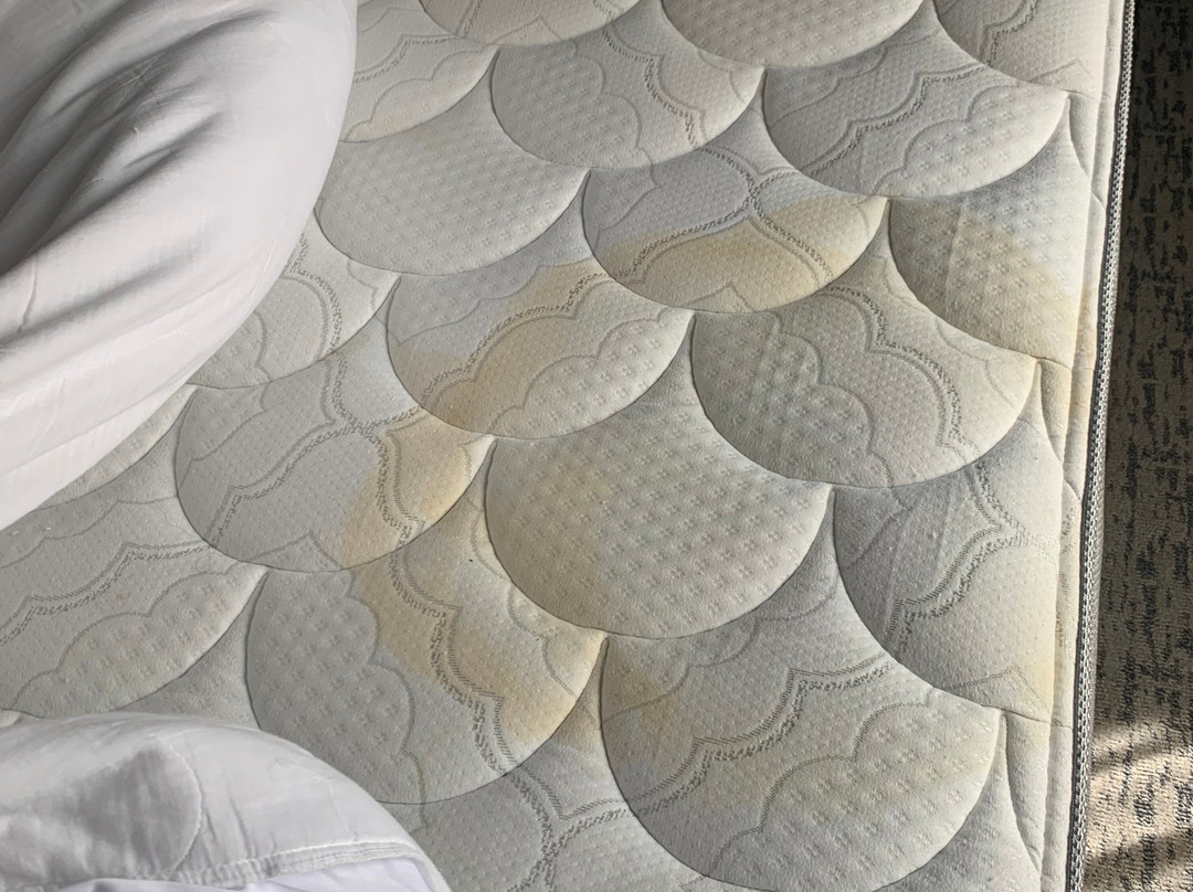 Homewood Suites by Hilton Boise主图