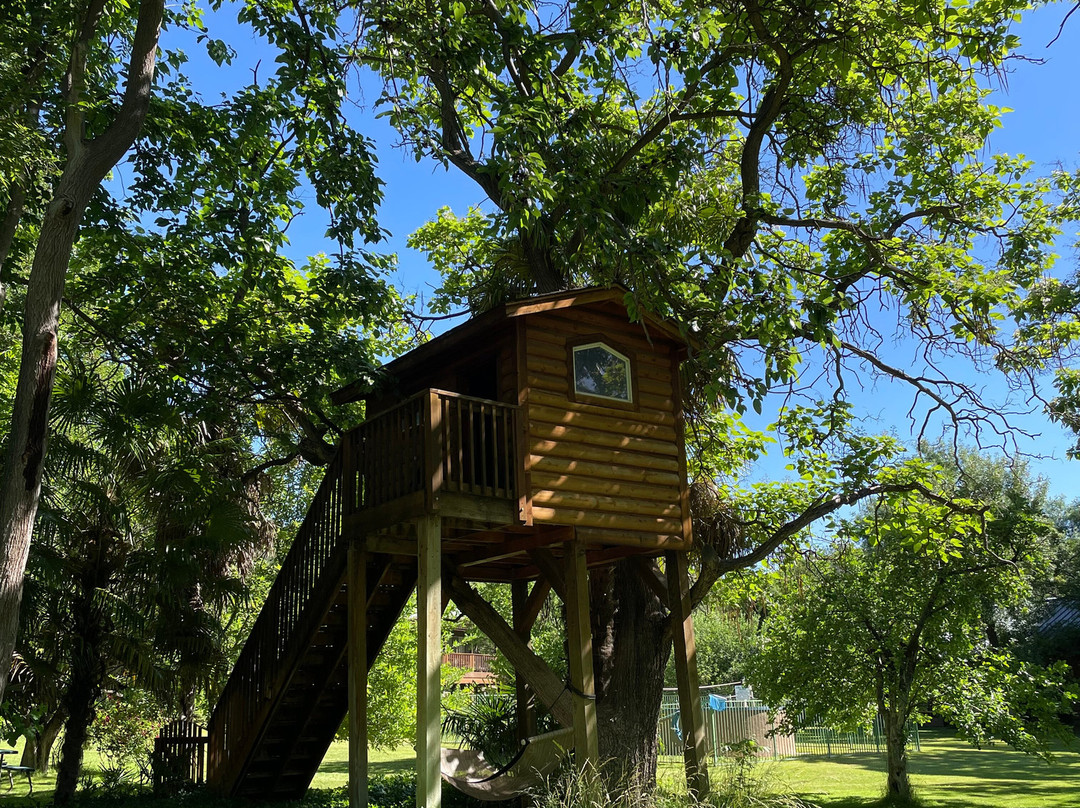 J Bar T Ranch Bed and Breakfast主图