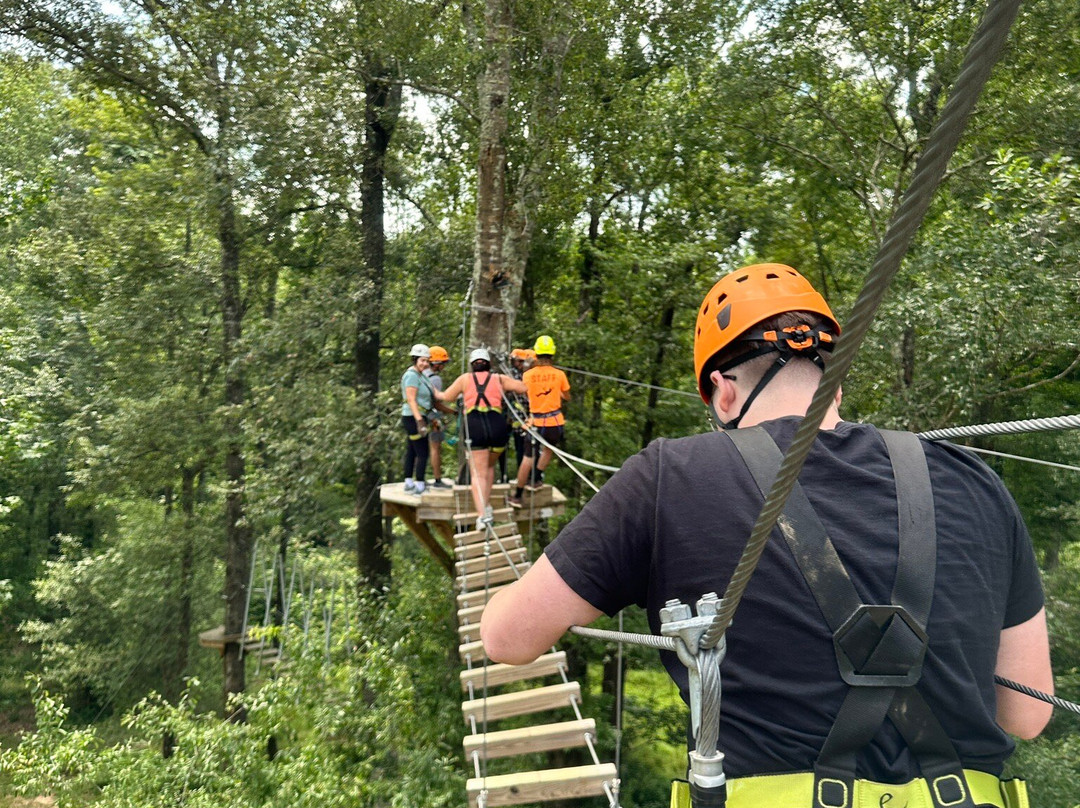 Magnolia Ridge Adventure Park景点图片