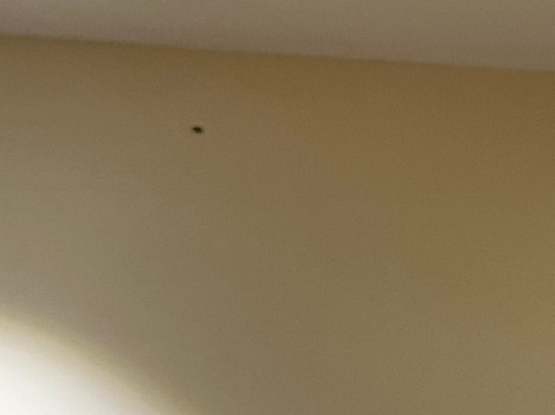 Antariksh Retreat主图