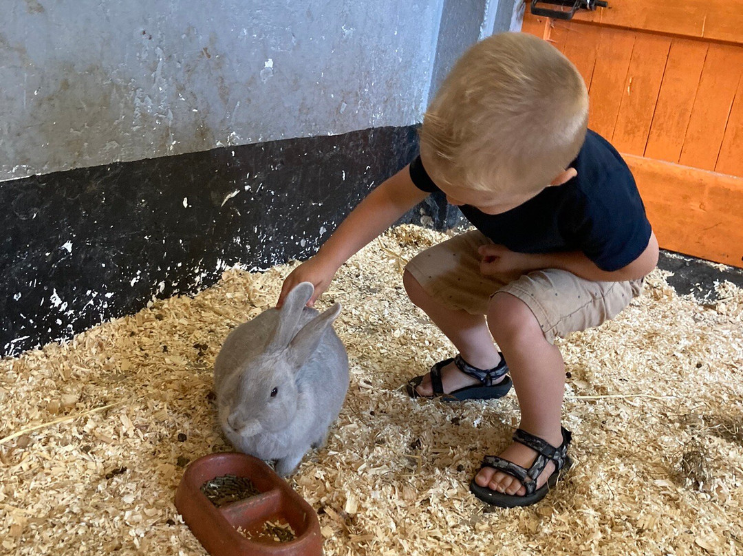 Kinderboerderij De Heuvel-Culemborg必去景点