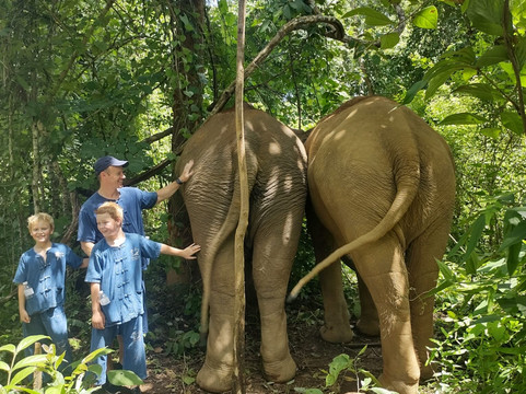 Toto's Elephant Sanctuary-清迈必去景点