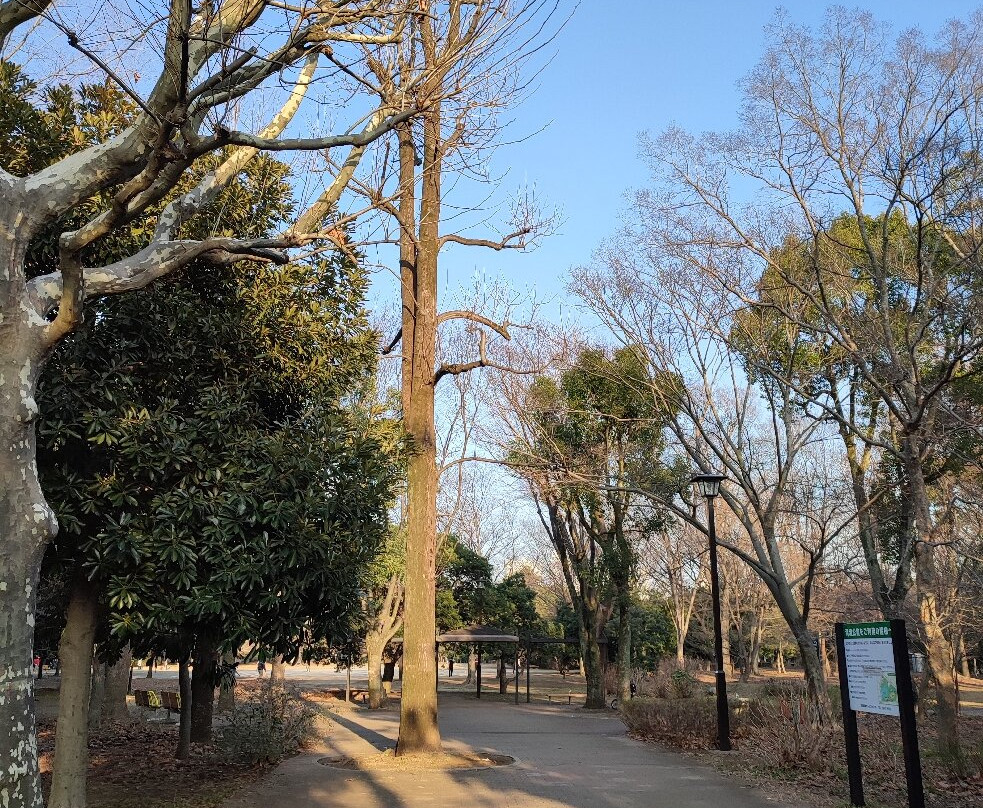 Kiyosumi Park-江东区必去景点