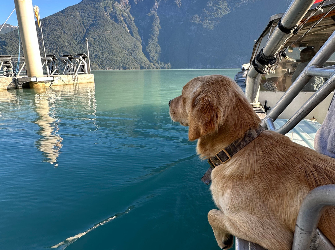 Bella Coola Grizzly Tours-Bella Coola必去景点