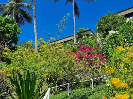 Overthemoon Luxury Pool Villas主图