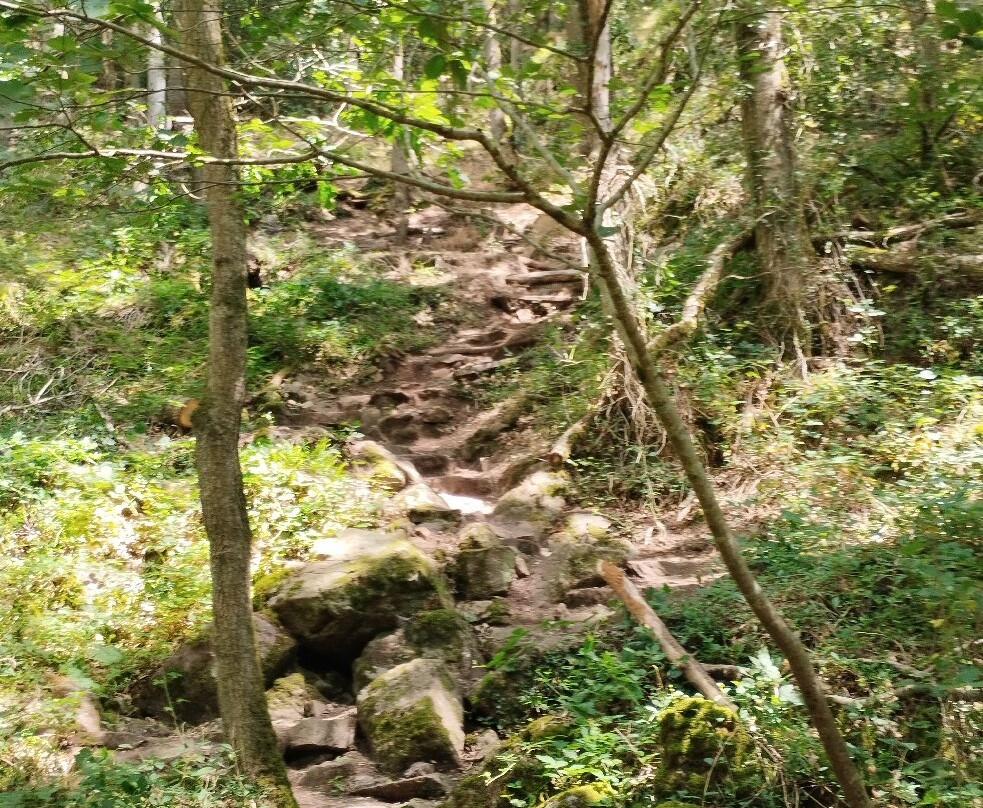 La Roche d'Oetre-Saint-Philbert-sur-Orne必去景点