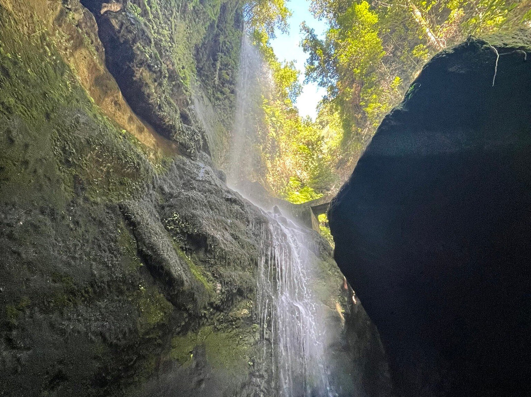 Cascada De los Tilos景点图片