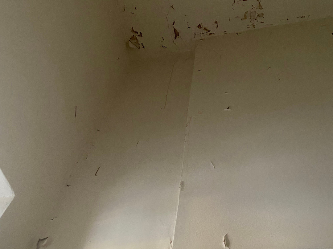 洛瑞特酒店主图