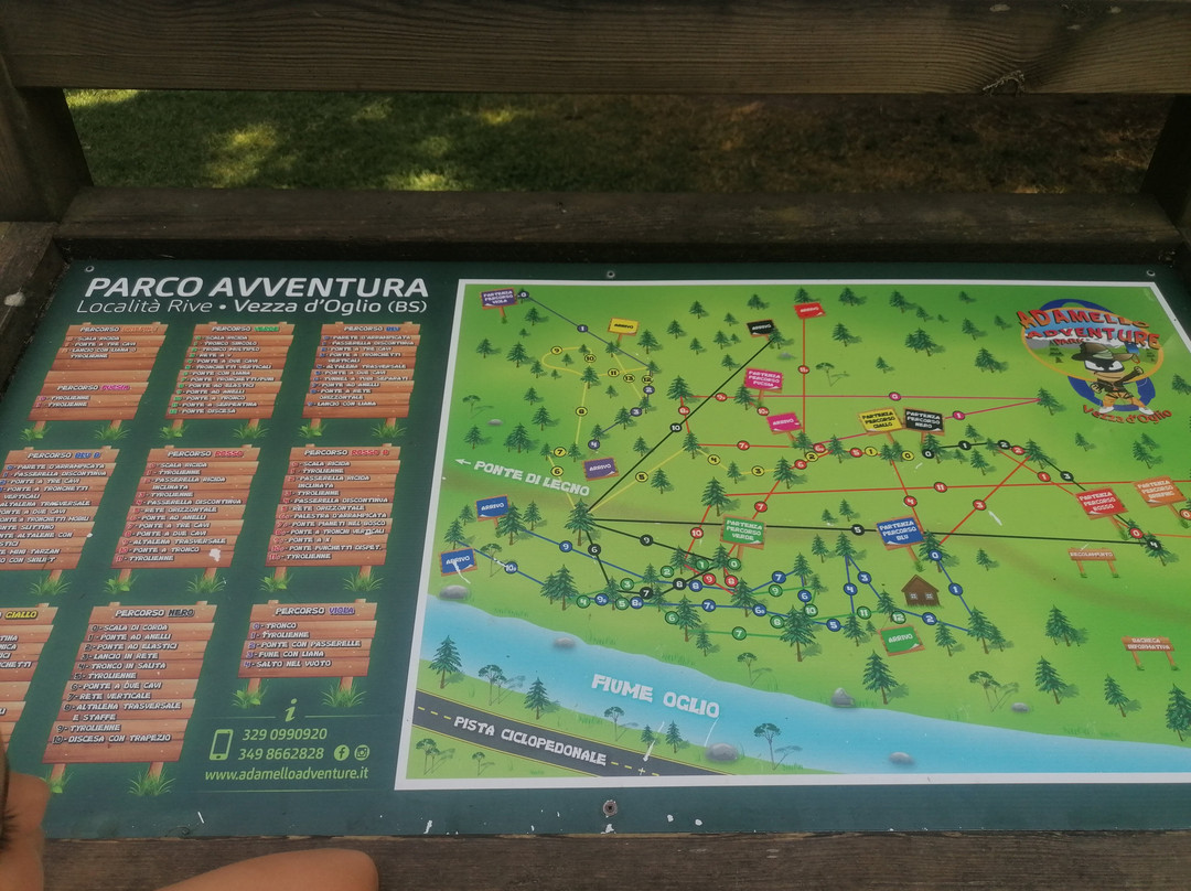 Parco Avventura Adamello Adventure景点图片