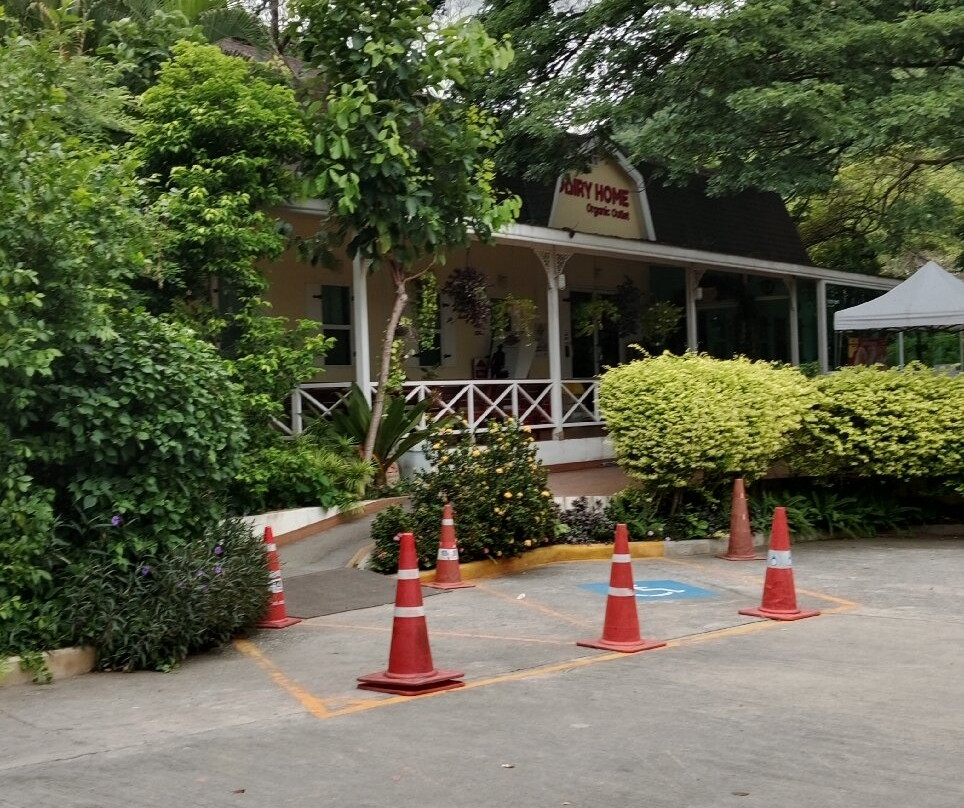 Dairy Home Farm Shop-北冲县必去景点