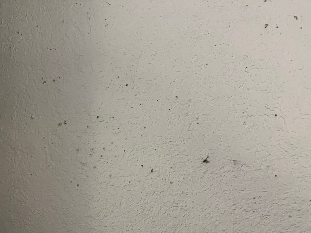 La Quinta Inn by Wyndham New Orleans Causeway