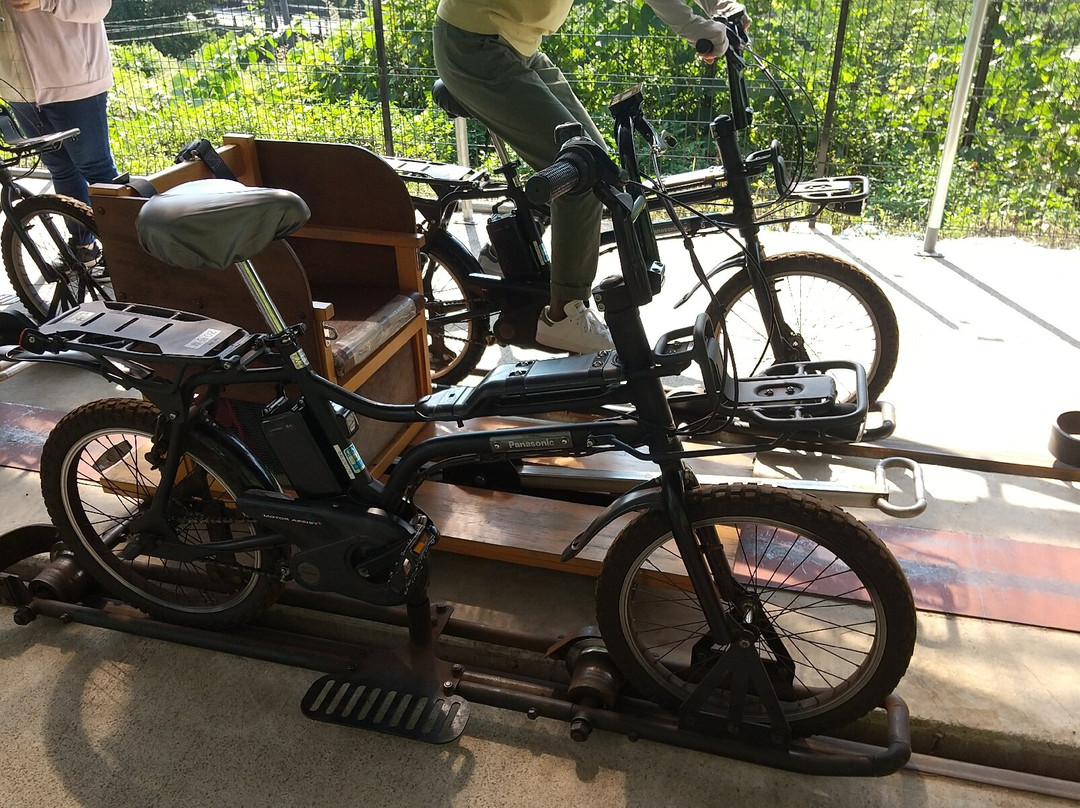Agatsumakyo Rail Bike Agatta景点图片