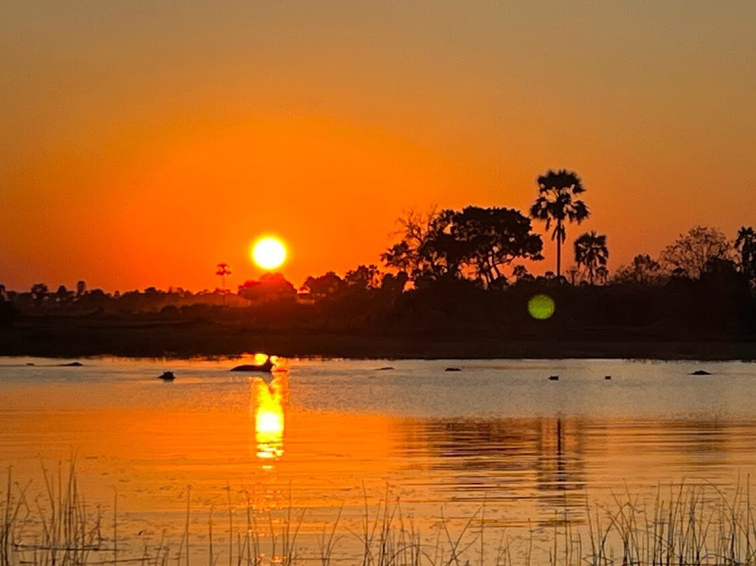 Okavango Houseboats景点图片