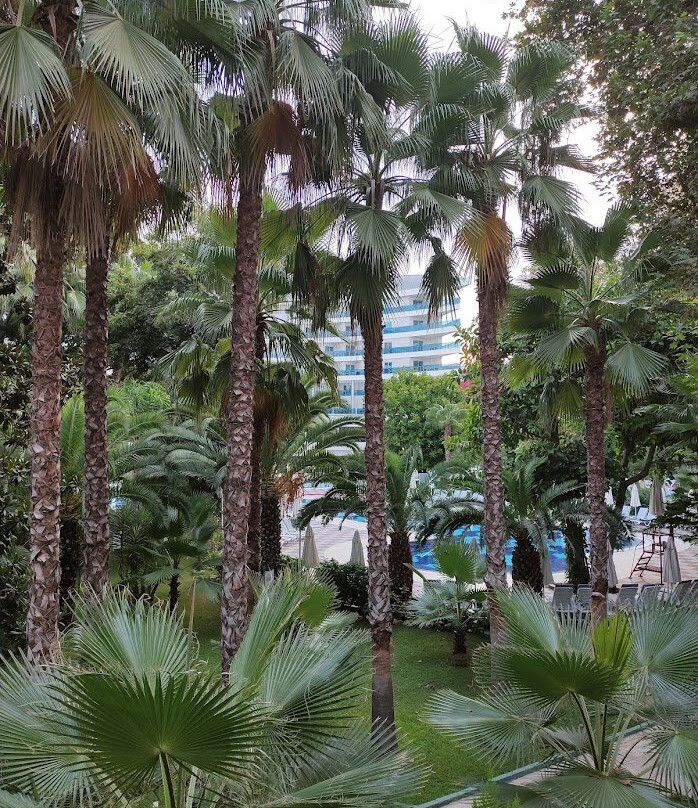 Botanik Hotel & Resort主图