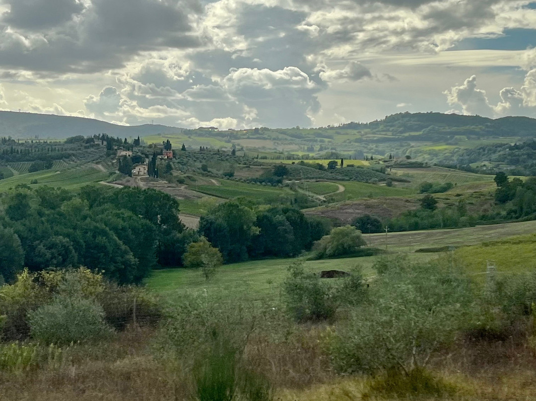 Tours in Tuscany - Private Tours景点图片