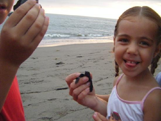 Puerto Vallarta Tours and Concierge-瓦拉塔港必去景点