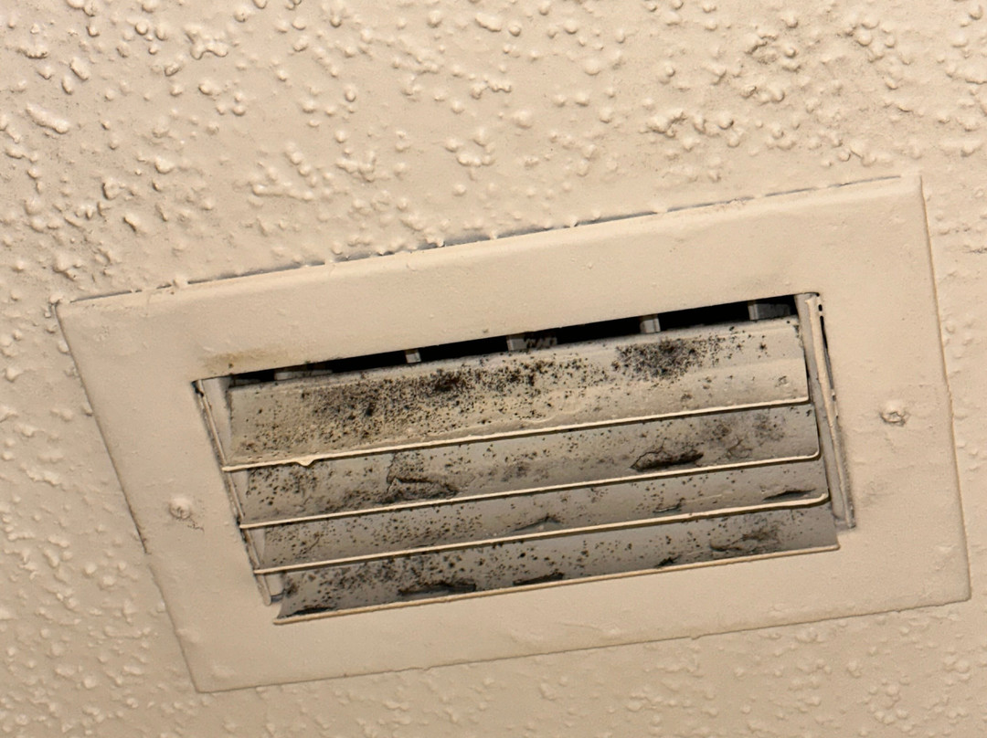 Residence Inn by Marriott Orlando Altamonte Springs/Maitland主图