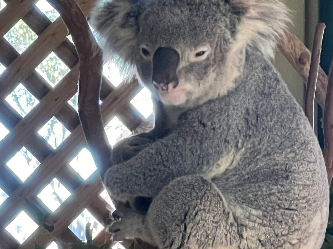Sydney Adventure Tours-悉尼必去景点