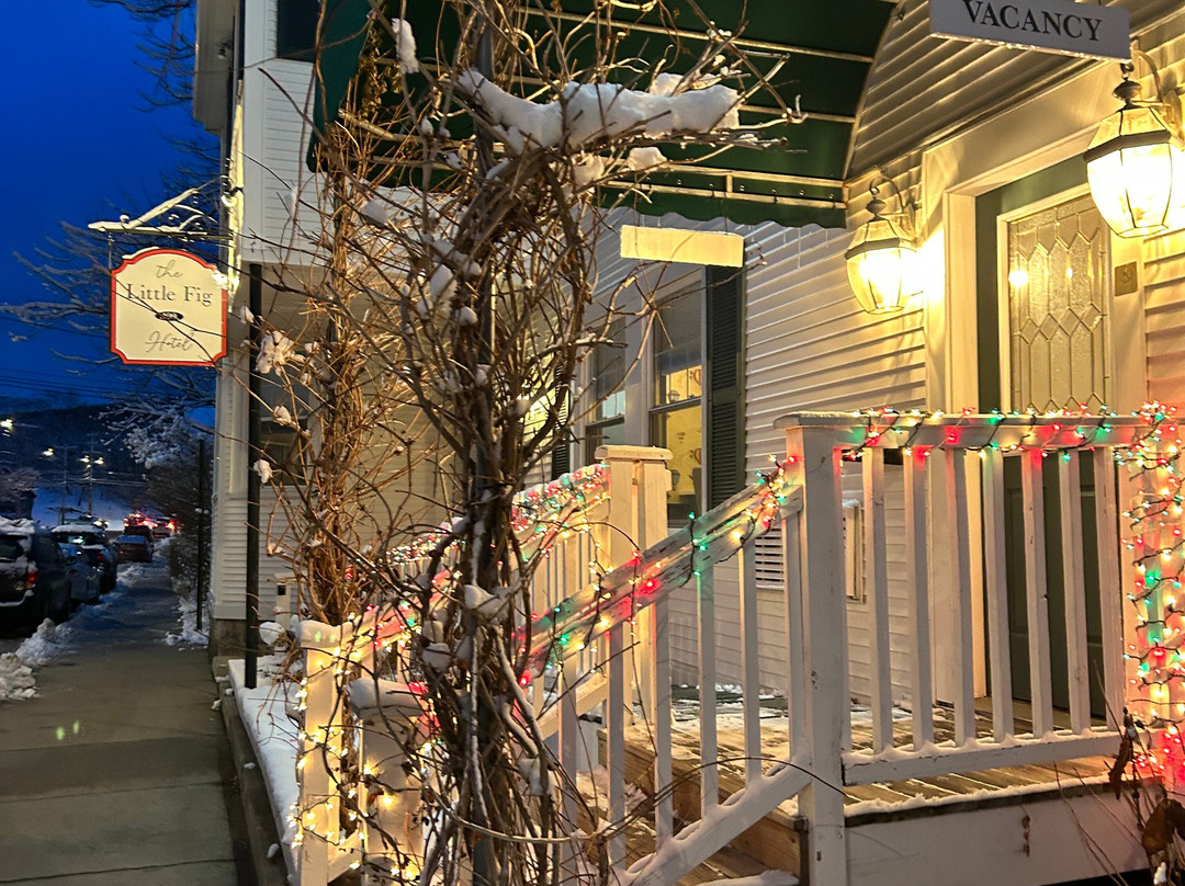 Little Fig Hotel主图