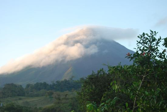 Greenway Nature Day Tours-利蒙港必去景点