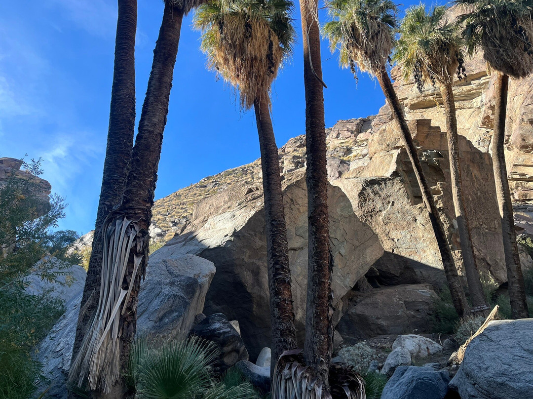 Big Wheel Tours-棕榈沙漠必去景点