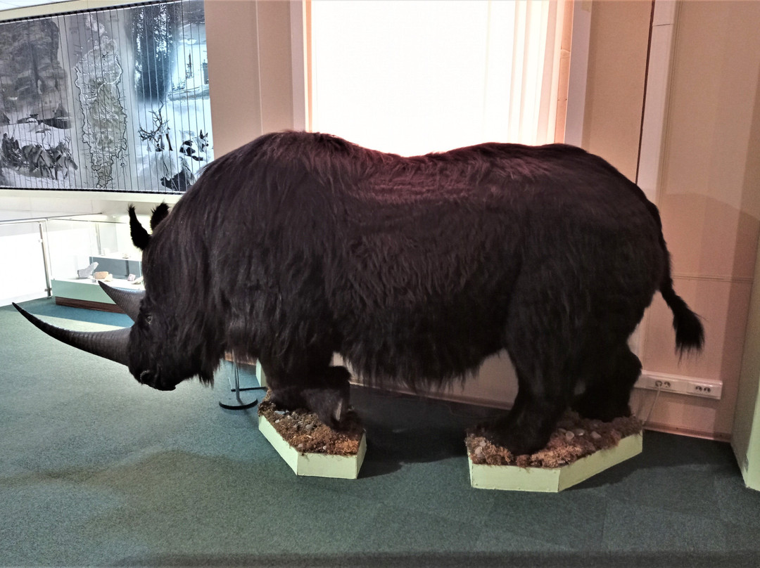 Taimyr Local Lore Museum景点图片