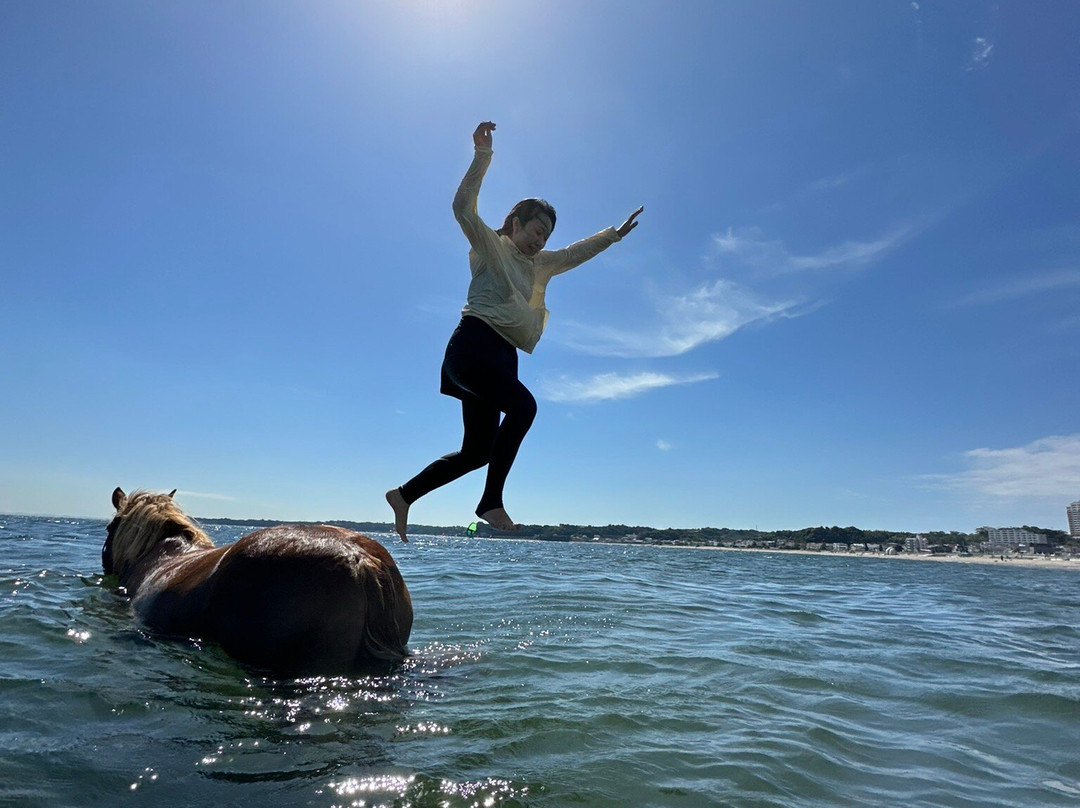Horse Trekking Farm Miurakaigan-三浦市必去景点
