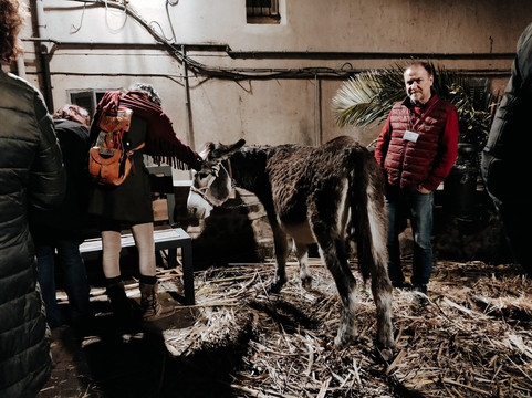 Castello Brancaccio-San Gregorio da Sassola必去景点