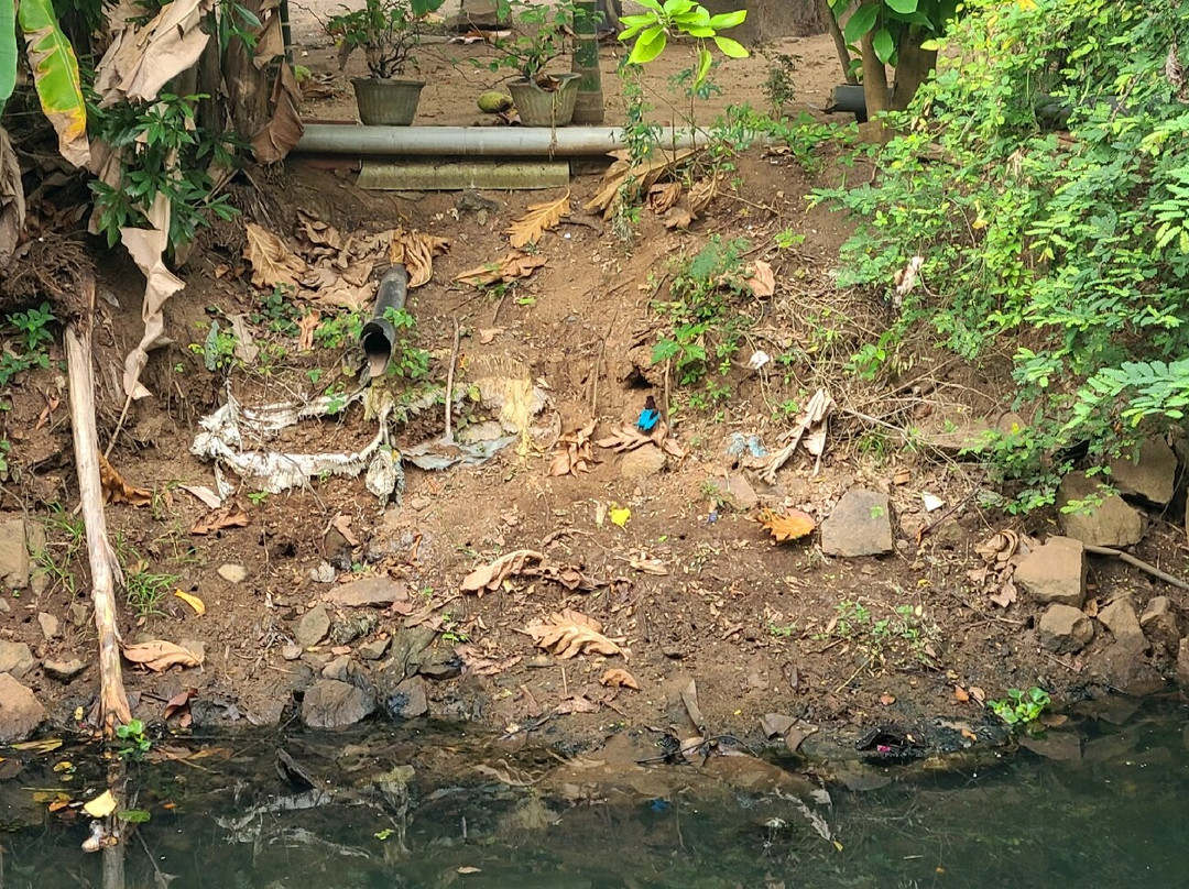 夏季侧住宅酒店主图