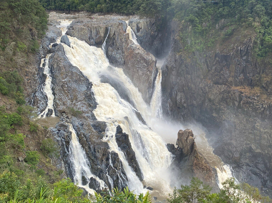 Kuranda National Park景点图片