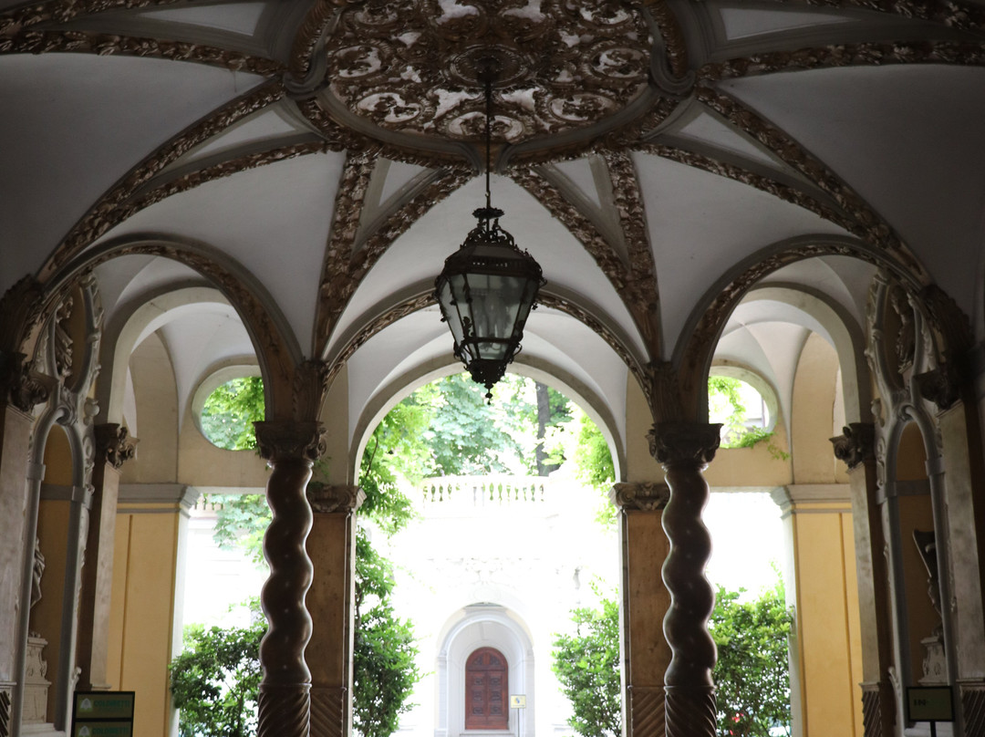 Palazzo Asinari di San Marzano景点图片