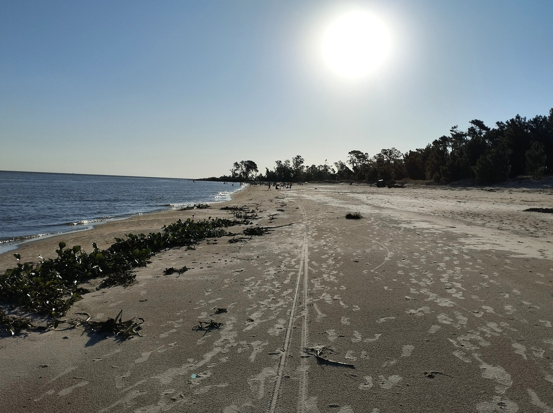 Playa Ferrando-科洛尼亚·德尔萨克拉门托城必去景点