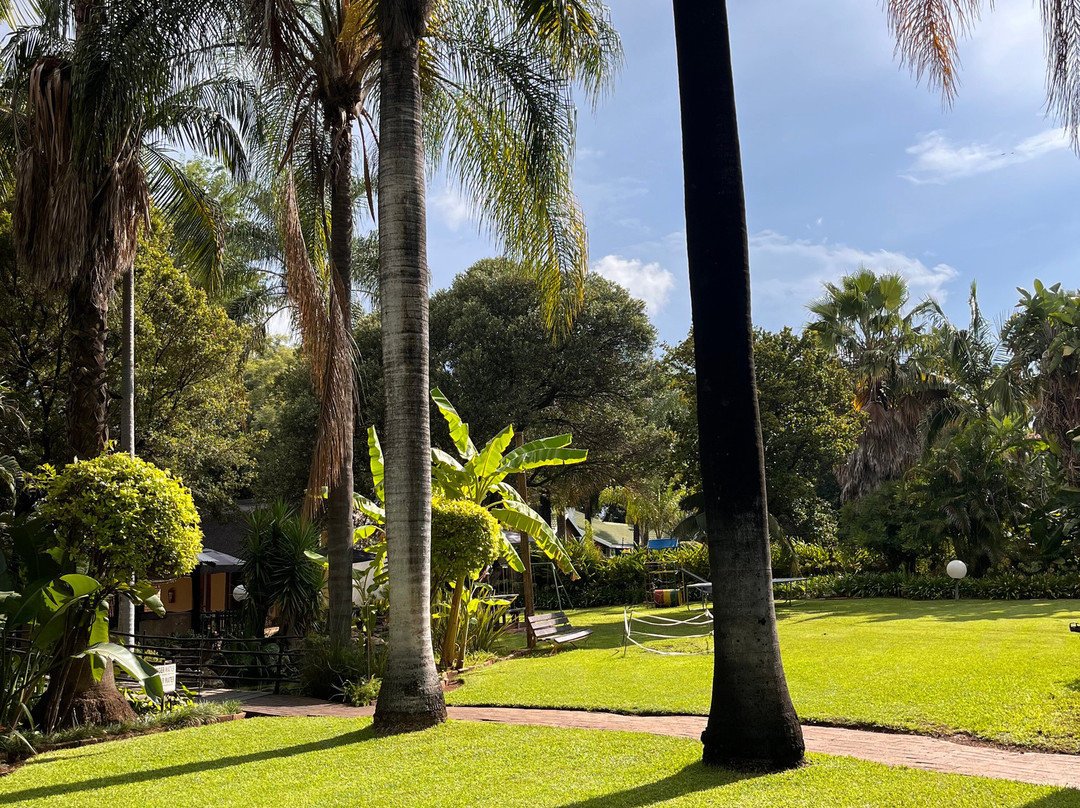 Lion's Guesthouse主图