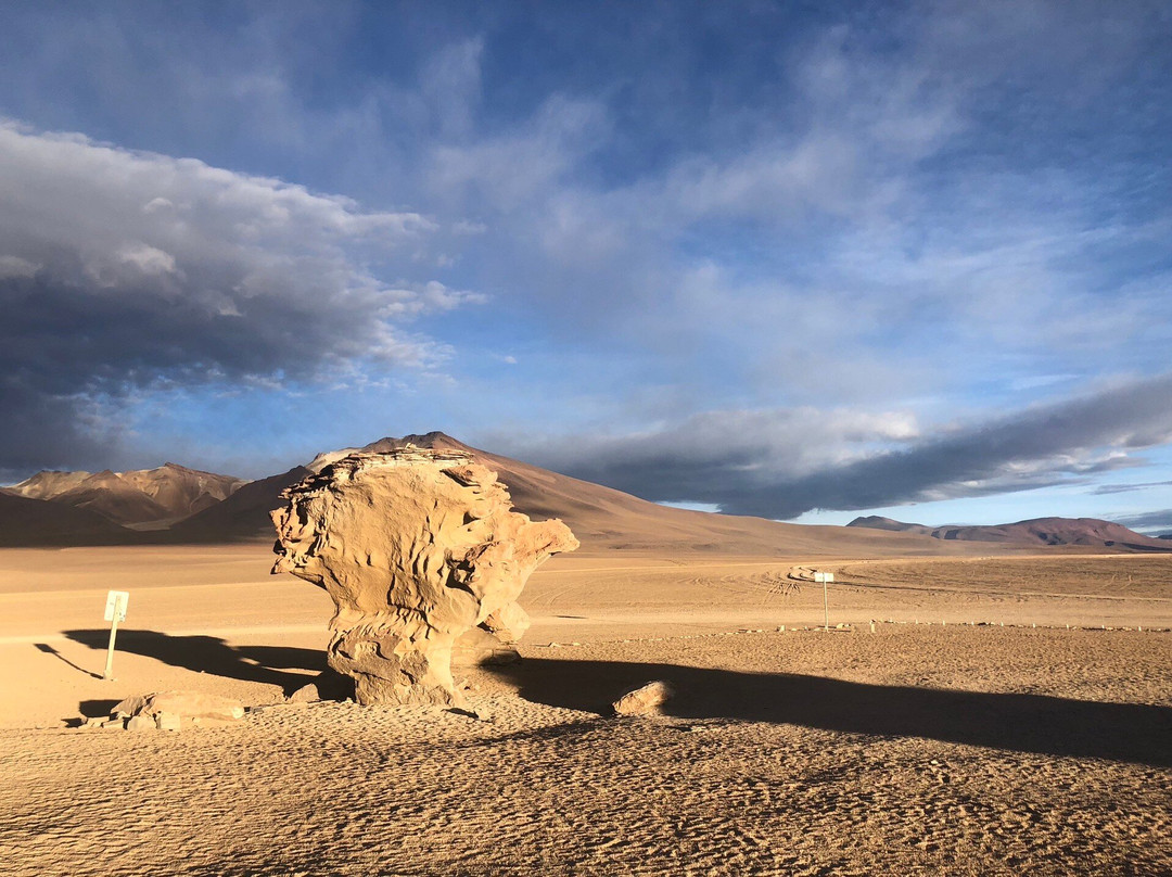 Andes Travel Treks & Expeditions-拉巴斯必去景点